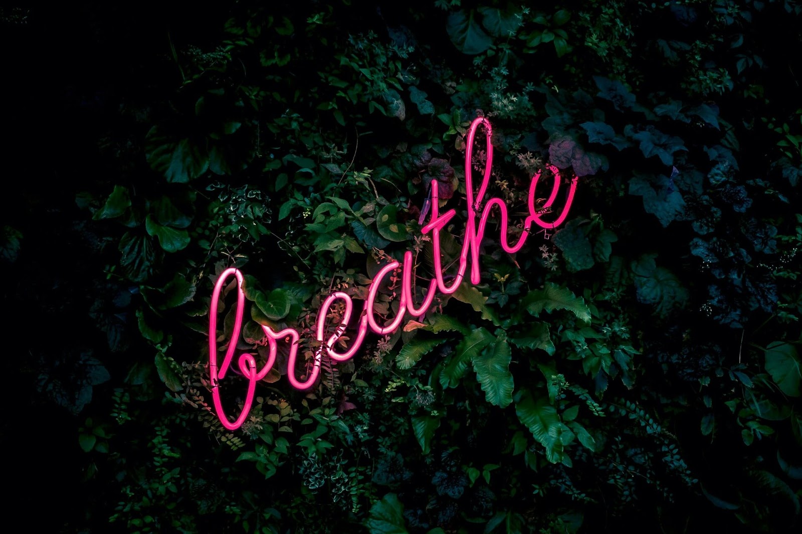 Use a colorful neon sign to liven up an office wall design idea.