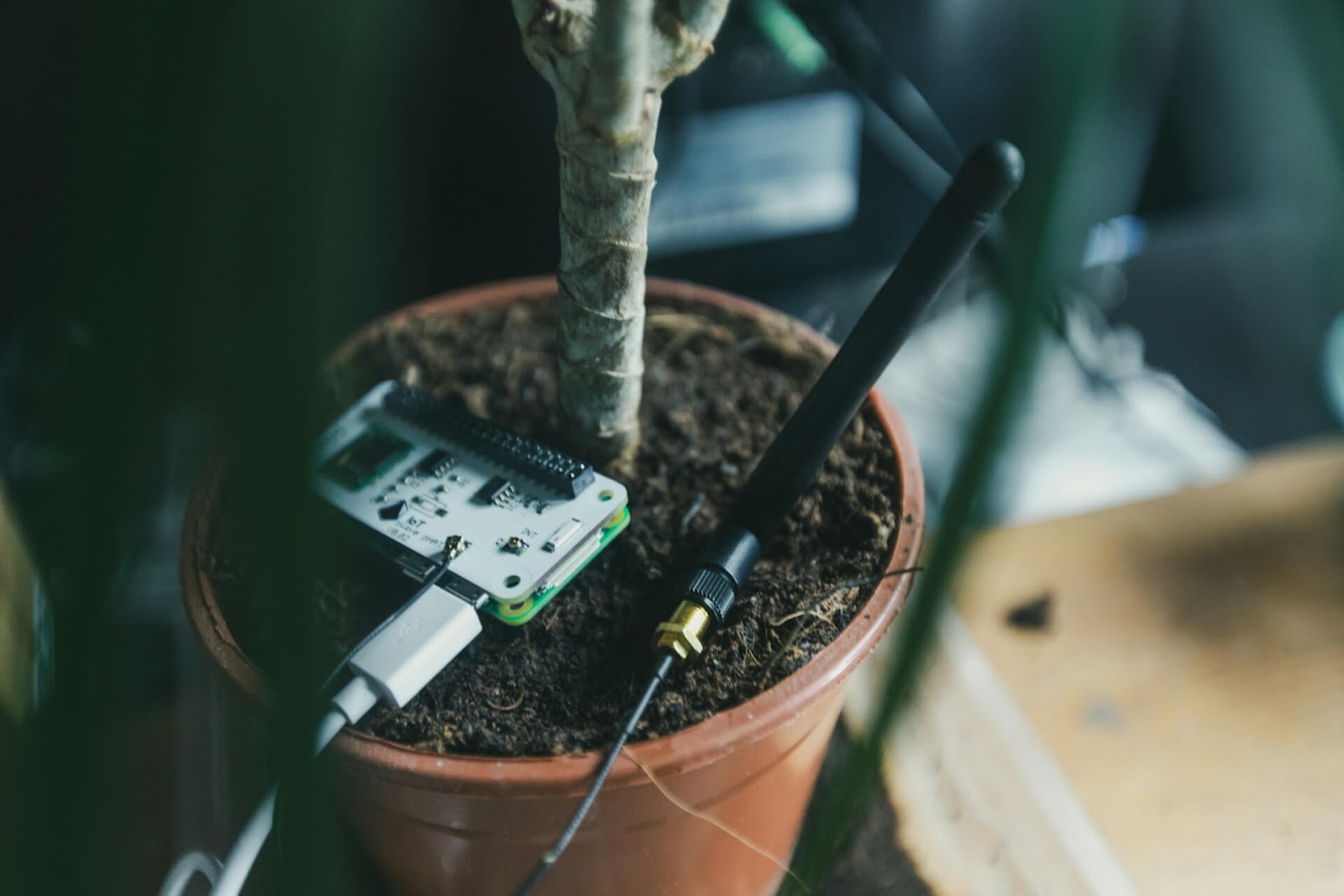 Gardening technology is advancing beyond basic soil monitors.