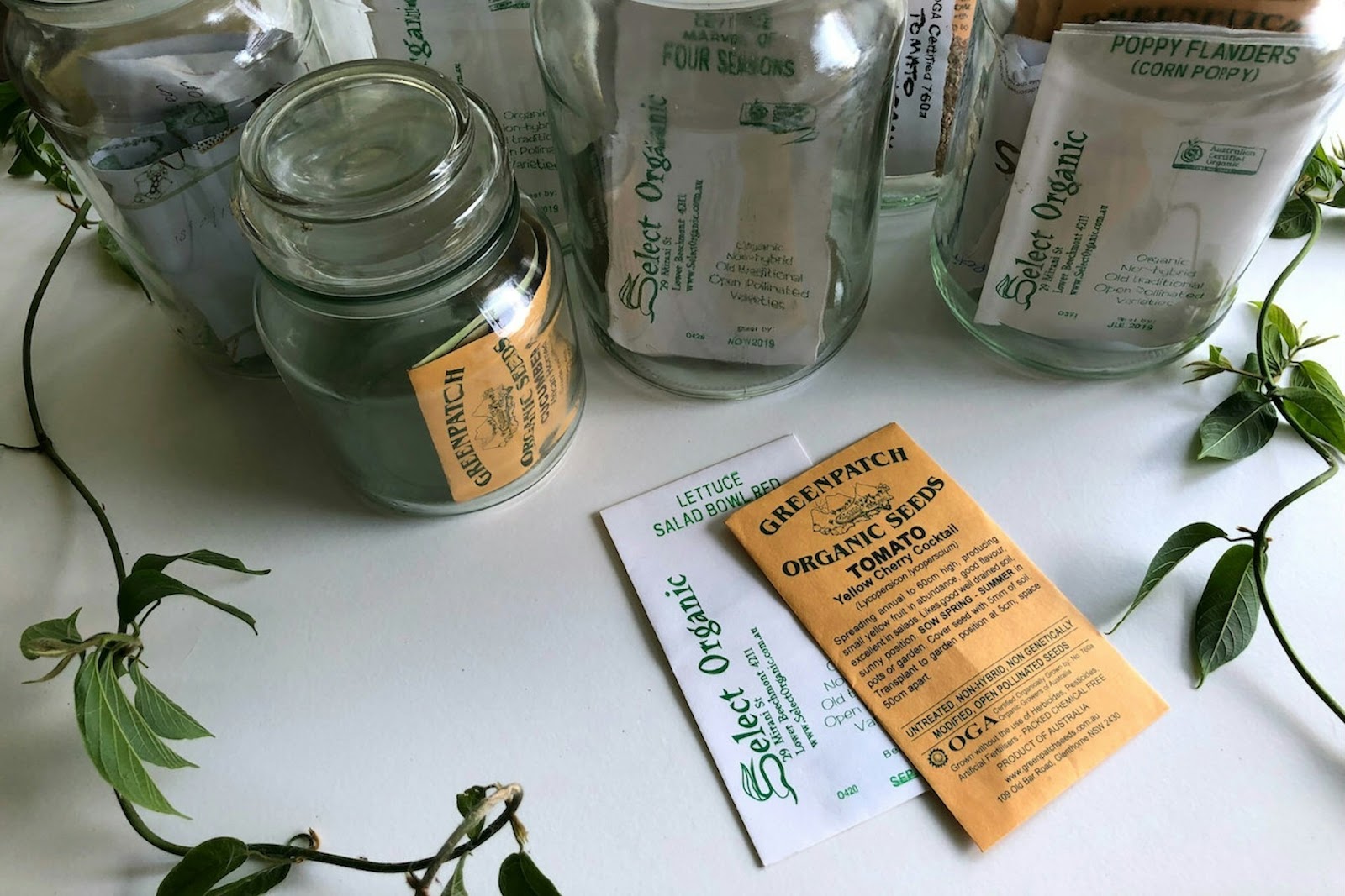 plant seeds in mason jars