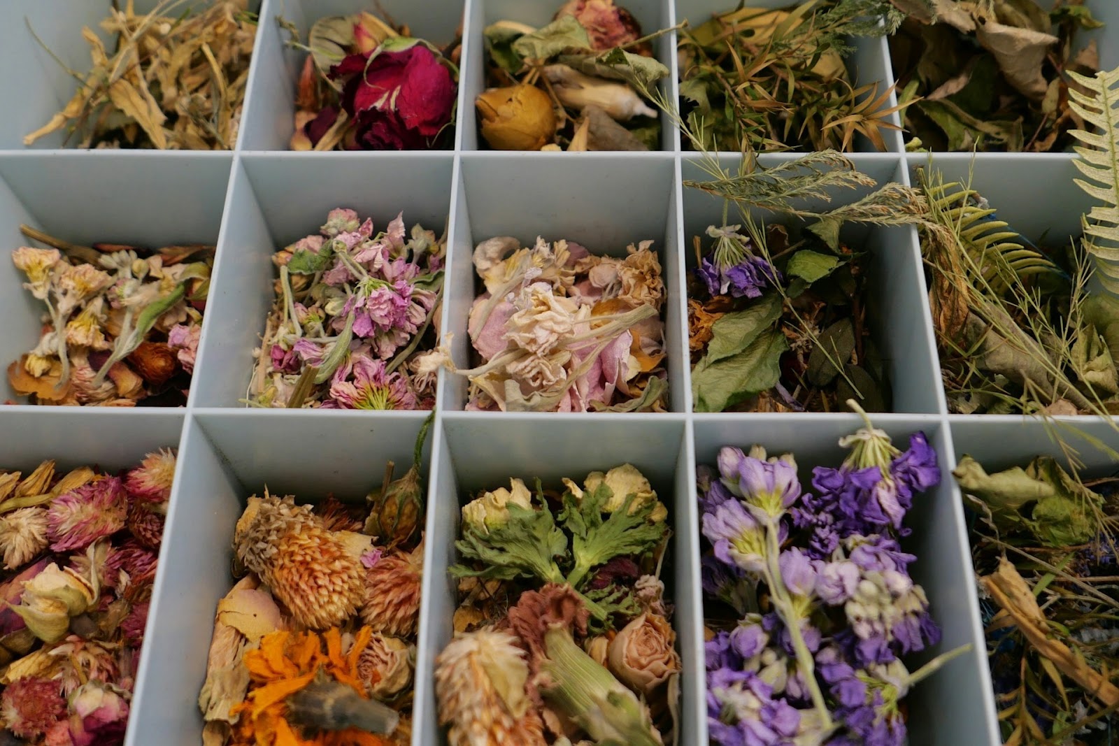 harvested herbs