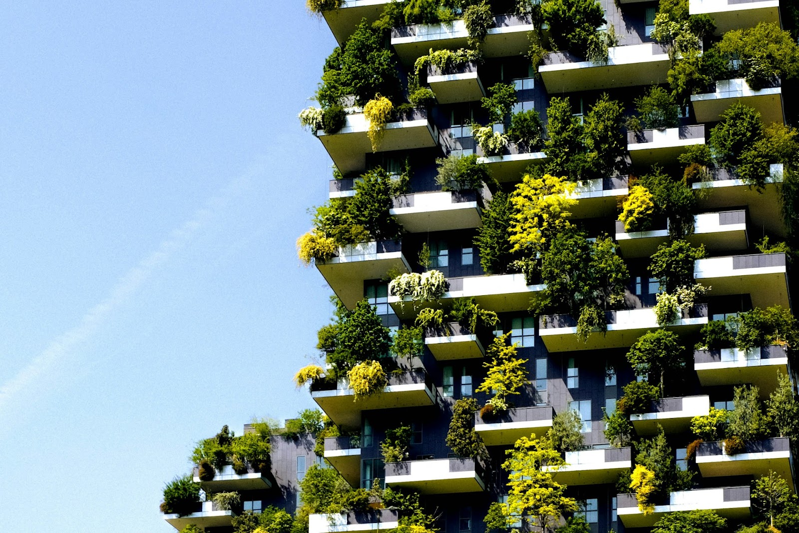 greenery in apartments