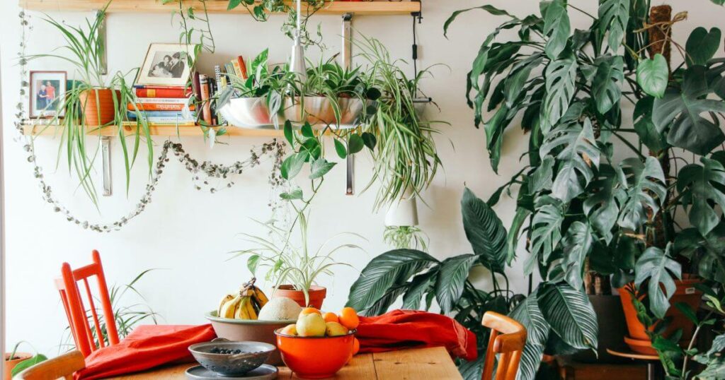 A space with plenty of green plants and bright decor like books to improve the feeling of your space or home.