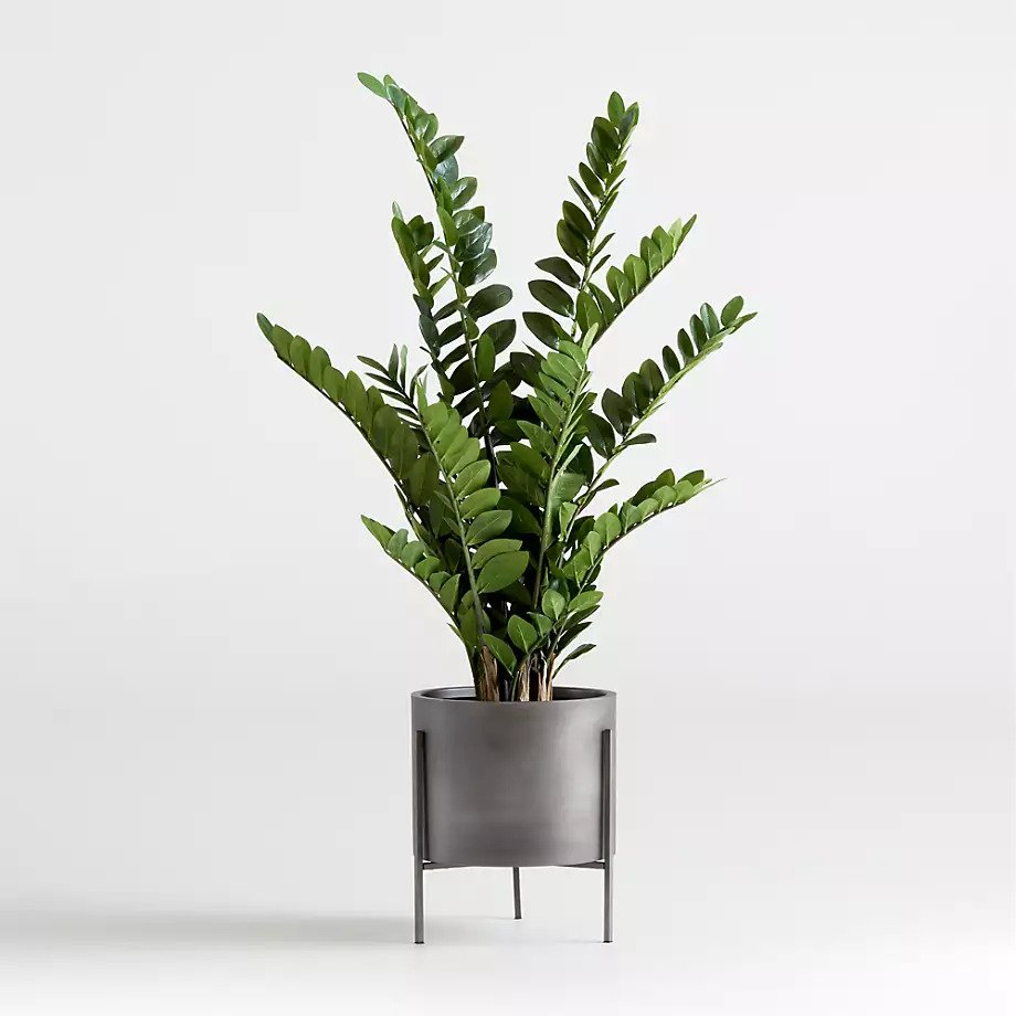 a stone potted plant with greenery
