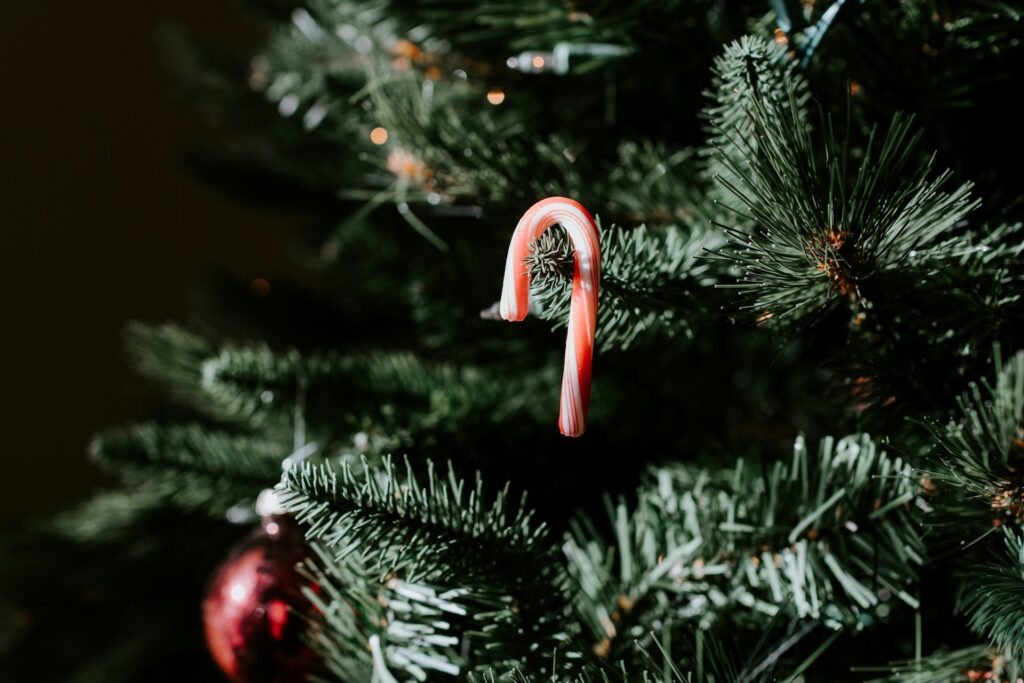 A mini candy cane hangs on the branches of a fir tree as one of the DIY Christmas ornaments.