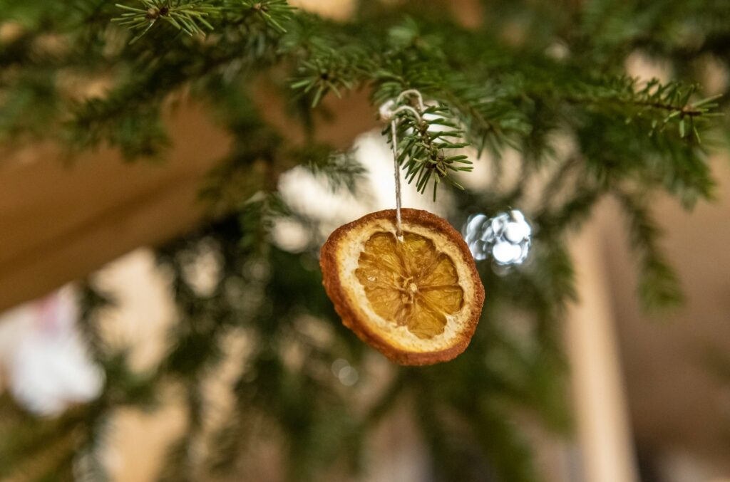 A dried orange slice hangs form the branch of an indoor fir tree as one of the DIY Christmas ornaments.