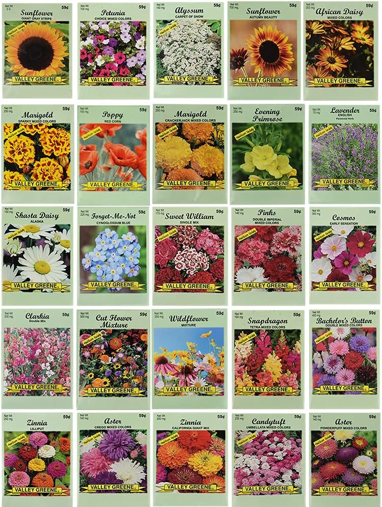 25 light green packs of different flower seeds are lined up in a rectangle against a white background.