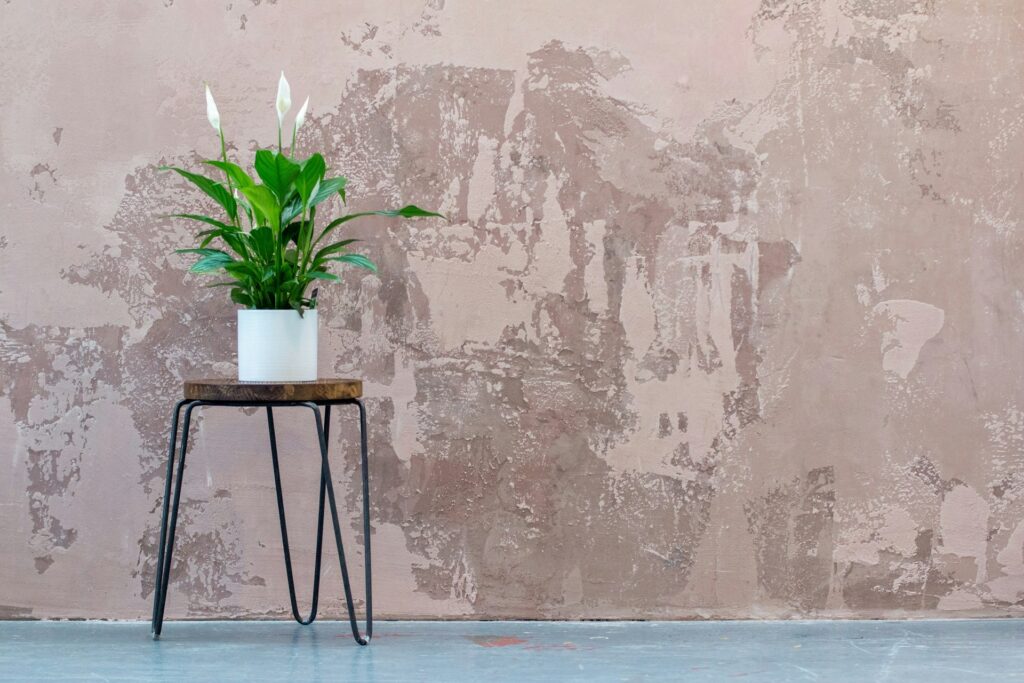 A white pot holding a tall peace lily with three flowers sits on a wooden table with wrought iron legs. Its on a concrete floor against a concrete wall.