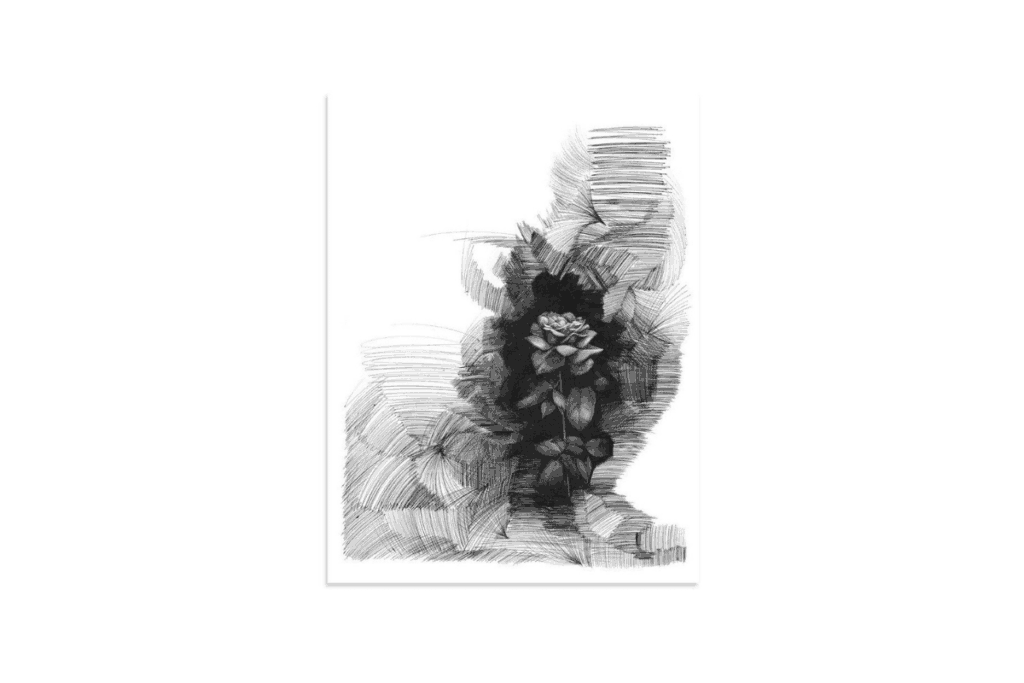 a black and white photo of nature sketched