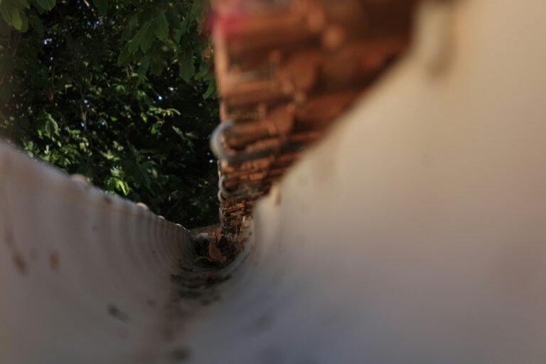 How Often Should You Clean Your Gutters?