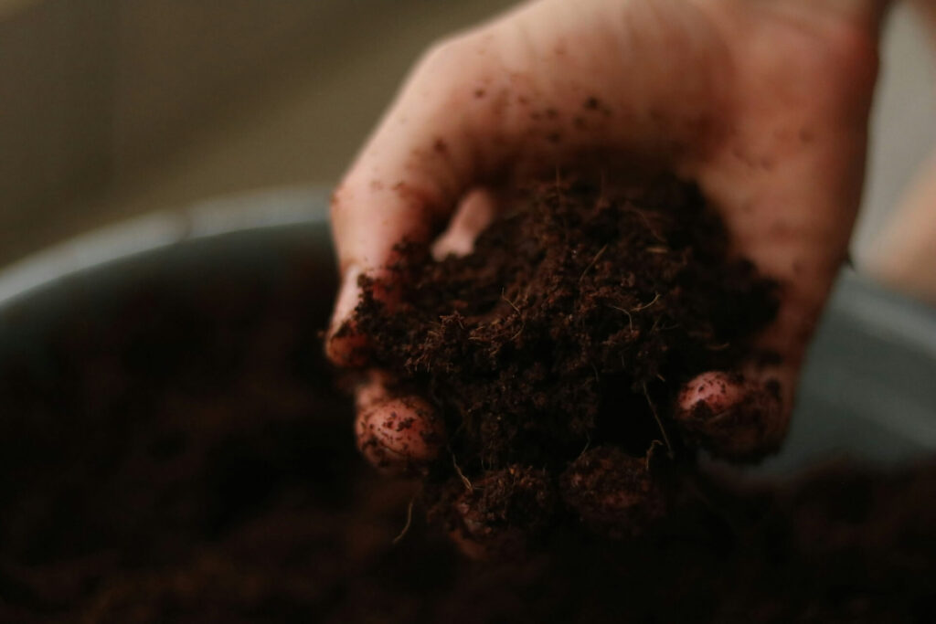 A handful of fertile soil