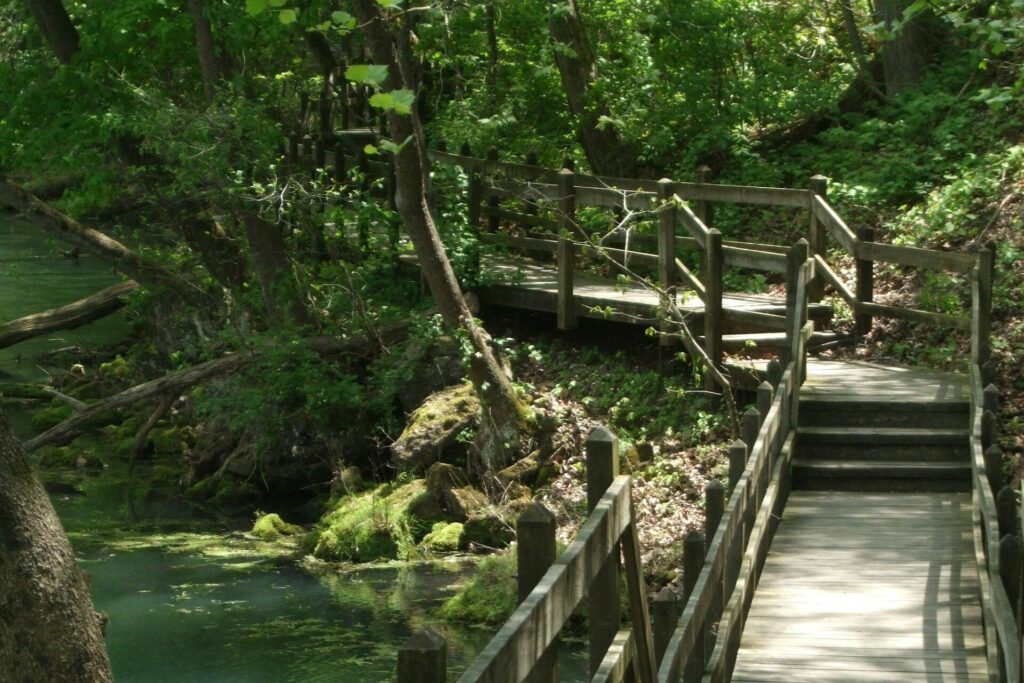Missouri Ozarks