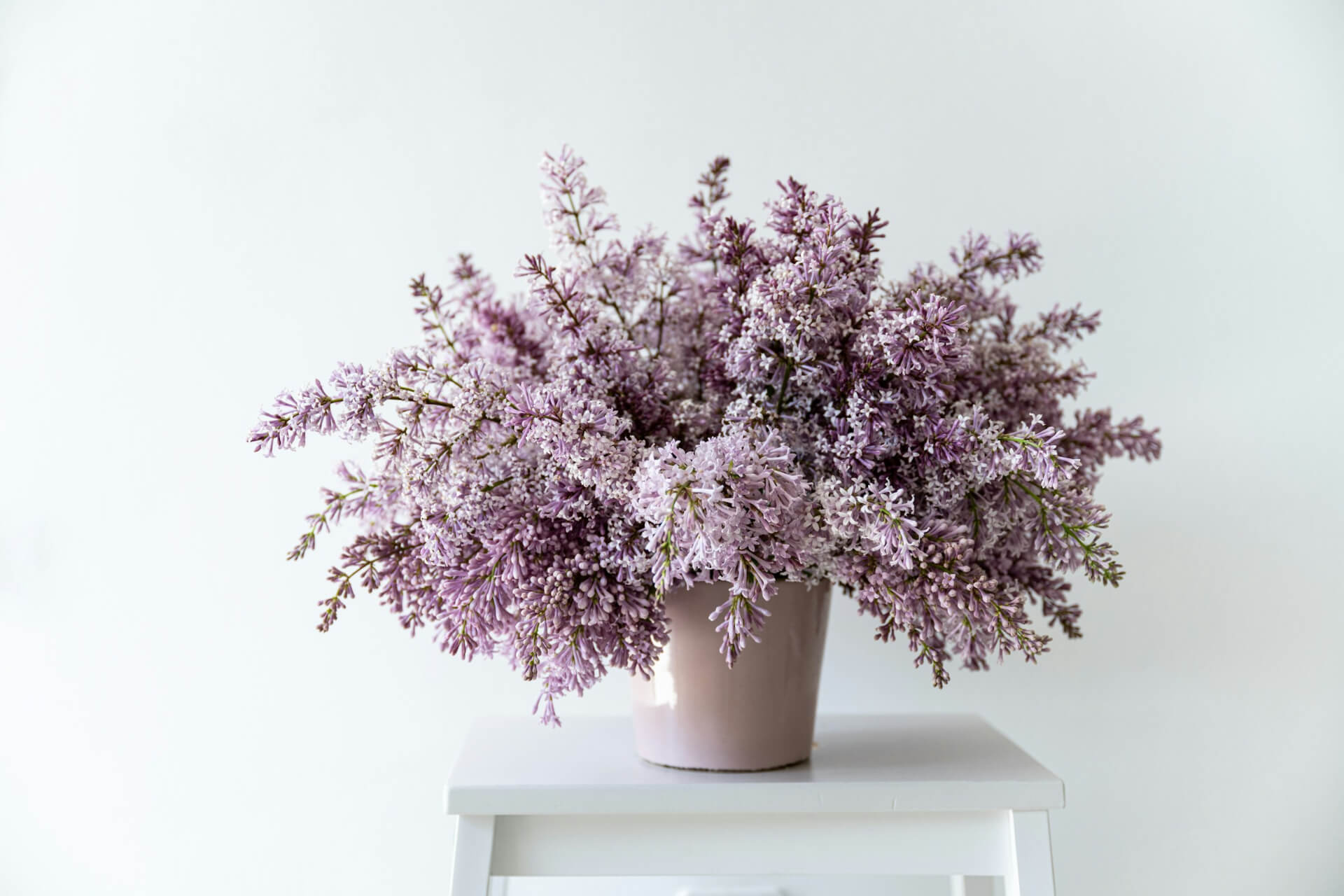 anita-austvika-XSkgWbj8Ako-unsplash-1