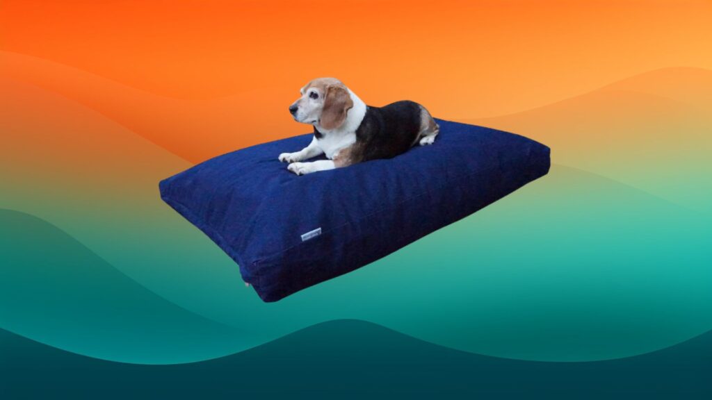 dark blue rectangular dog bed in front of an orange and teal background