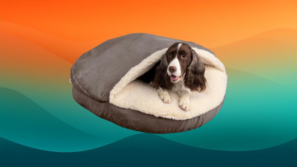 gray and cream fluffy dog bed with a blanket on top in front of an orange and teal background