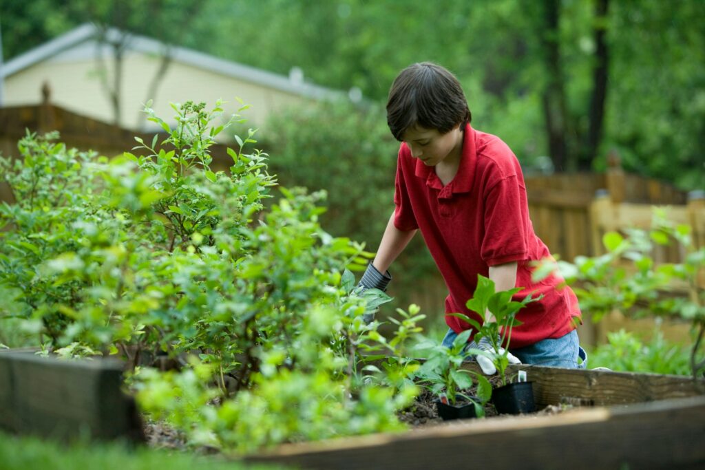 Celebrate your child's gardening achievements.