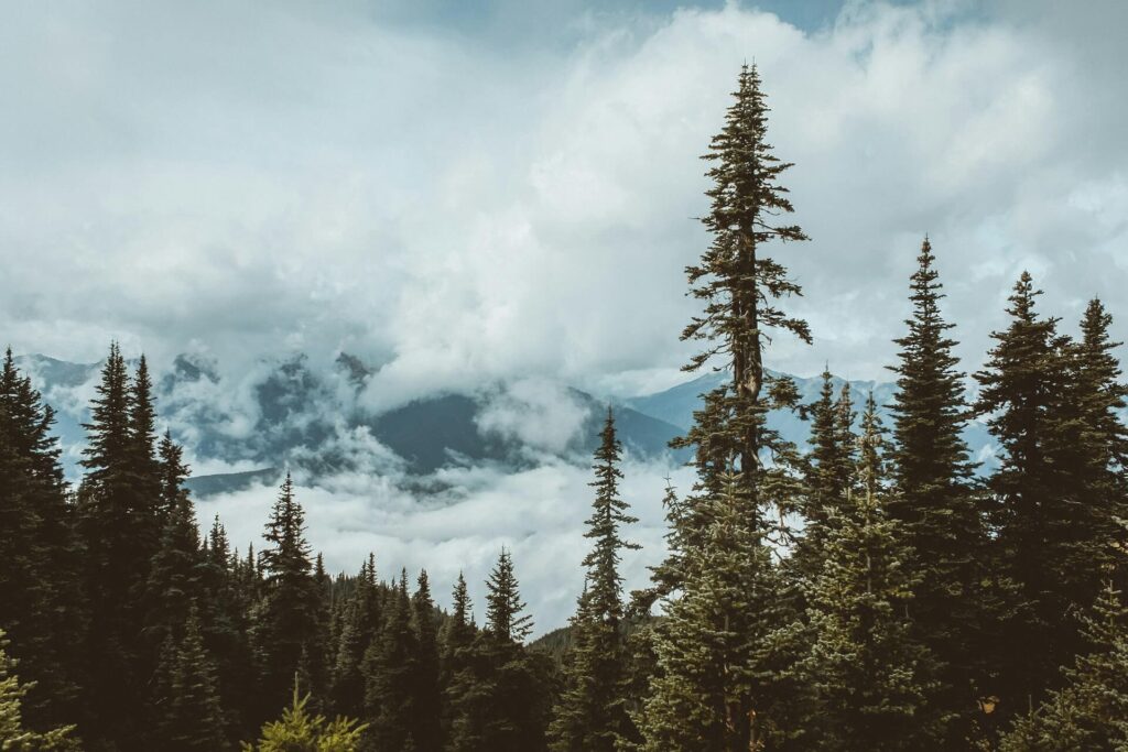 Mountains, clouds and trees in Washington State