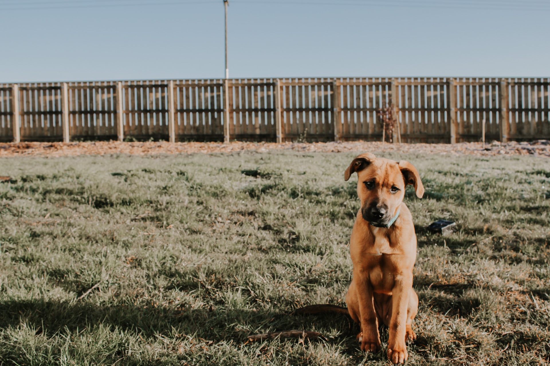claire-edwards-BXfDORGRUrI-unsplash