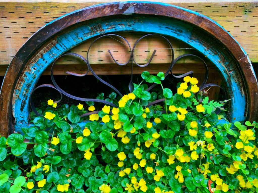 green vines with yellow flowers