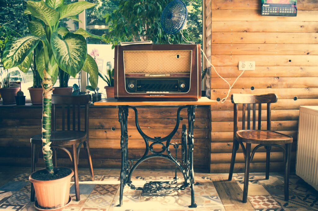 Wooden paneled room with green plants and old furniture