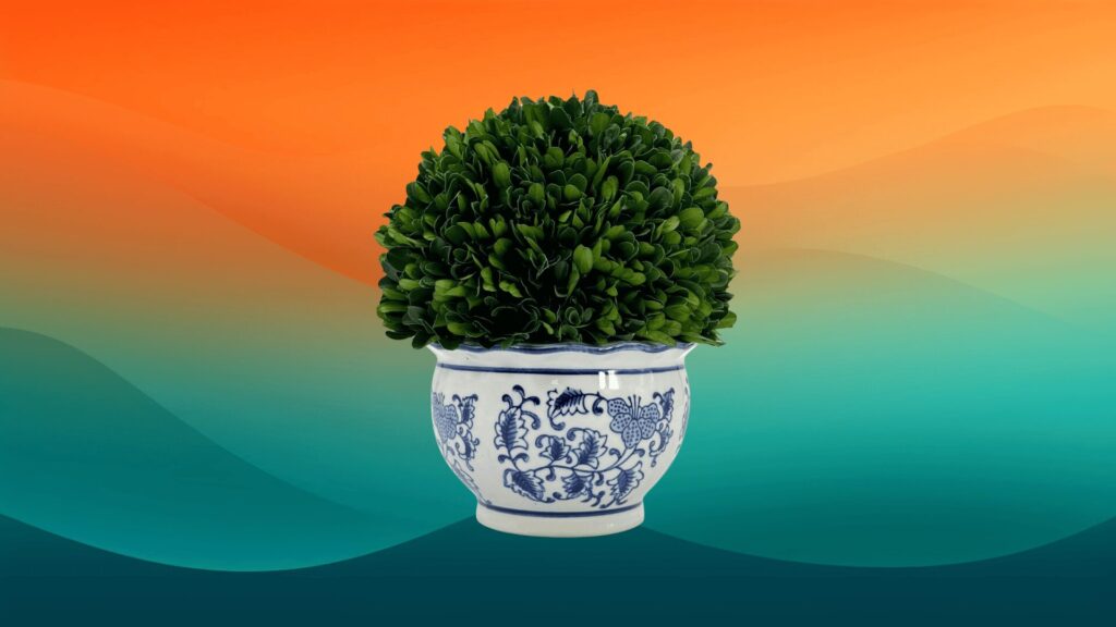 blue and white chinoiserie style decorative indoor flower pot in front of an orange and teal background