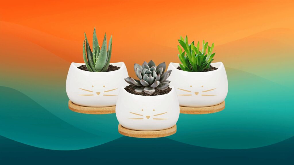 three small white decorative indoor flower pots with gold cat faces on them in front of an orange and teal background