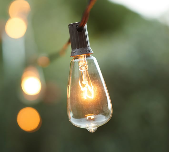 stringed Edison lights