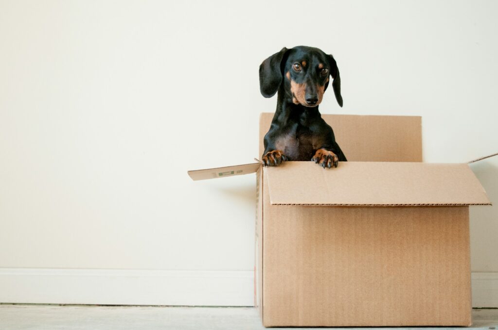 image of cardboard box for packing