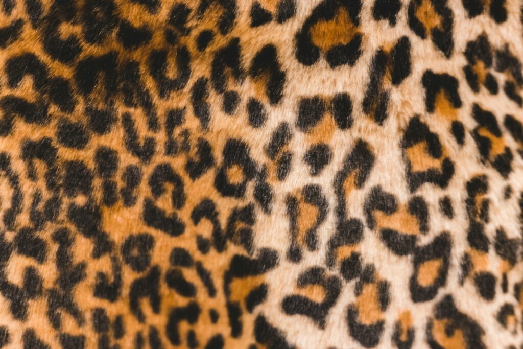 Cheetah print rug.