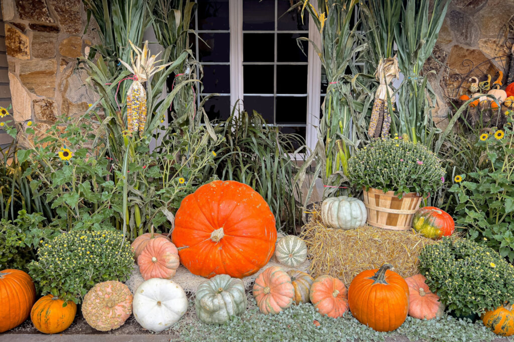 Decorate your yard with inexpensive seasonal accents for fall landscaping ideas on a budget.