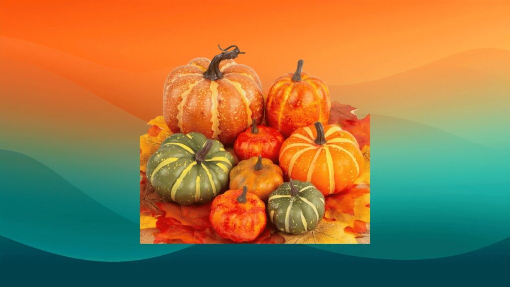 8 faux pumpkins in orange, red, and green in front of an orange and teal background