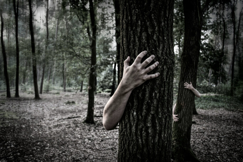 Forest legends add to the fear we feel in haunted forests.