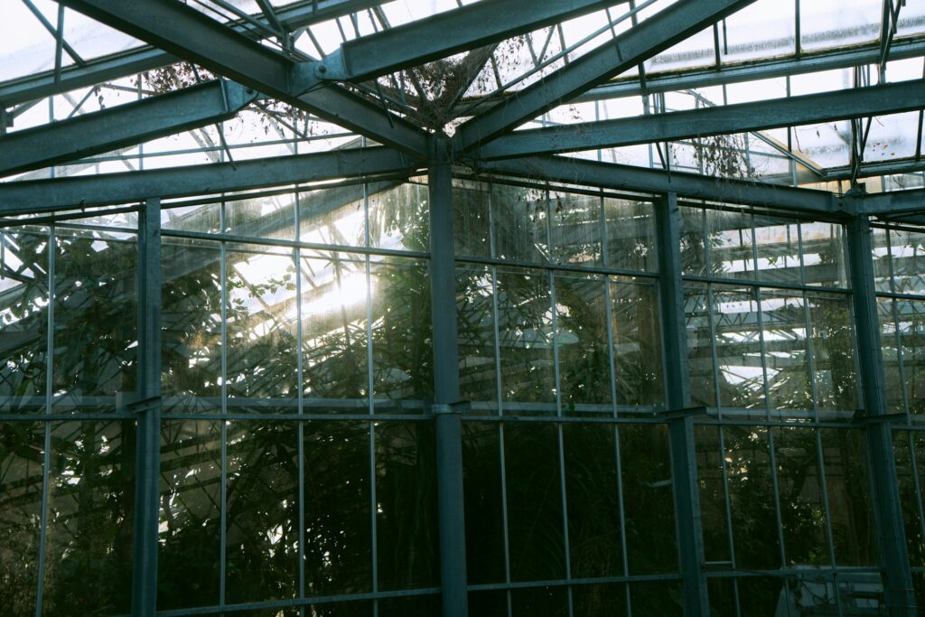 A greenhouse.