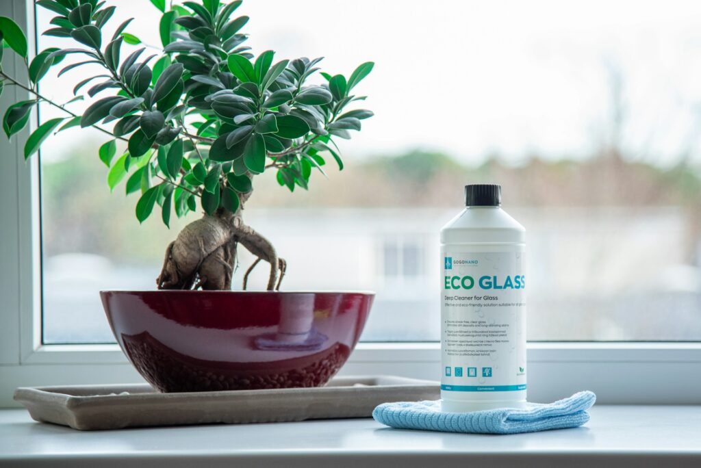 Eco glass cleaner in front of a window with a plant.