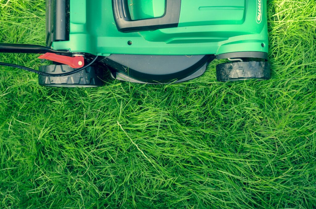 Bright green grass fills the picture, long and lush. A green lawnmower is halfway seen at the top of the image. It's not on, but clearly will be soon.