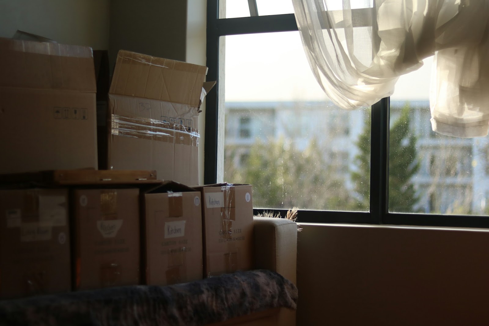 moving boxes near a window