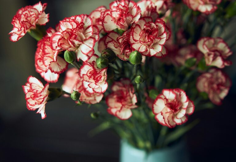 How to Arrange Flowers and Display Them at Home