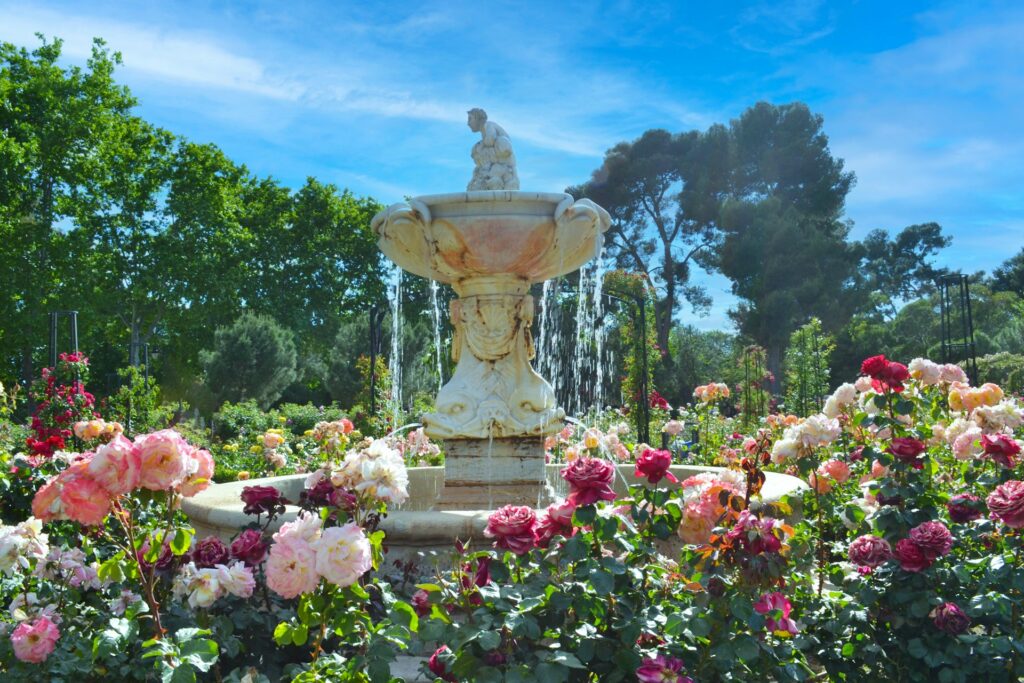 Roses and peonies in all different shades of pink surround a marble water fountain topped with an artistic rendering of a person. Trees and blue sky line the background.