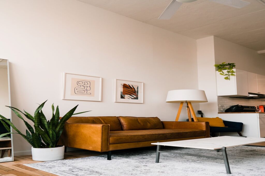 living room remodel couch