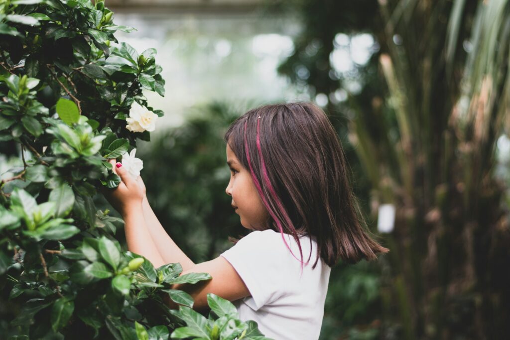 Let child choose what type of garden they want to grow.