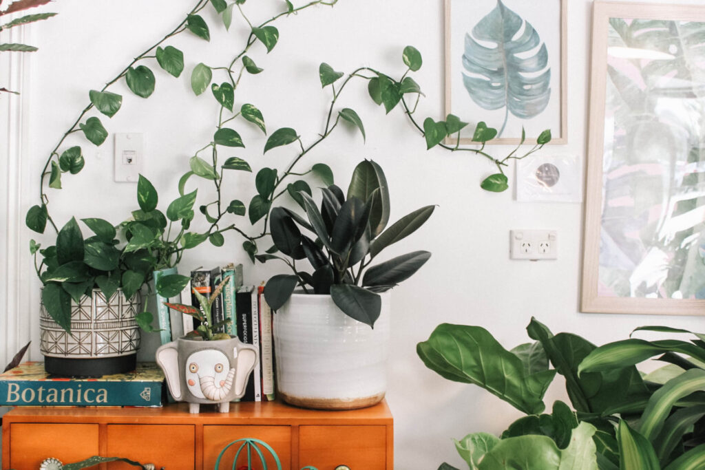 home greenery