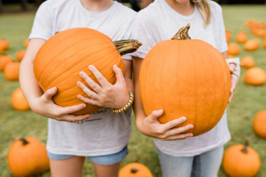 Pumpkin uses you might now know.