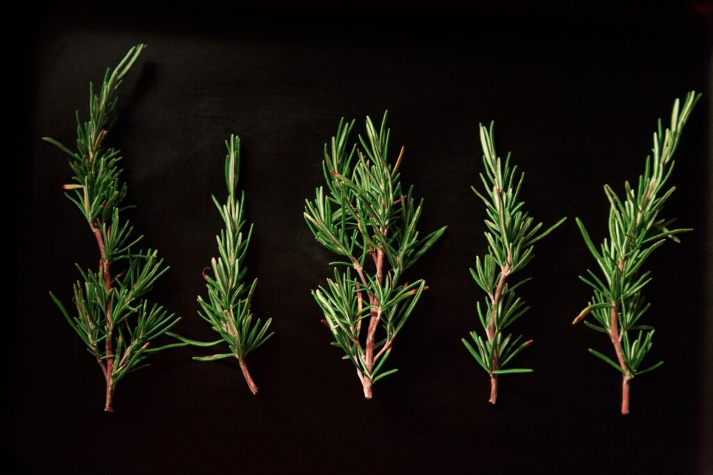 bushels of herbs