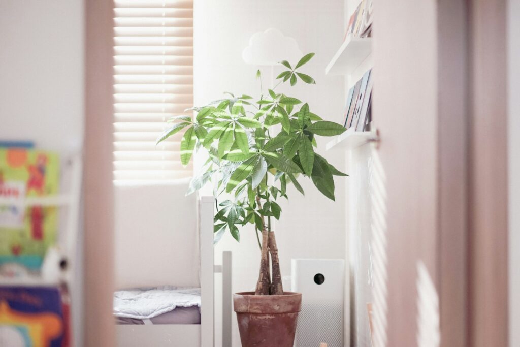 minimalist feng shui design