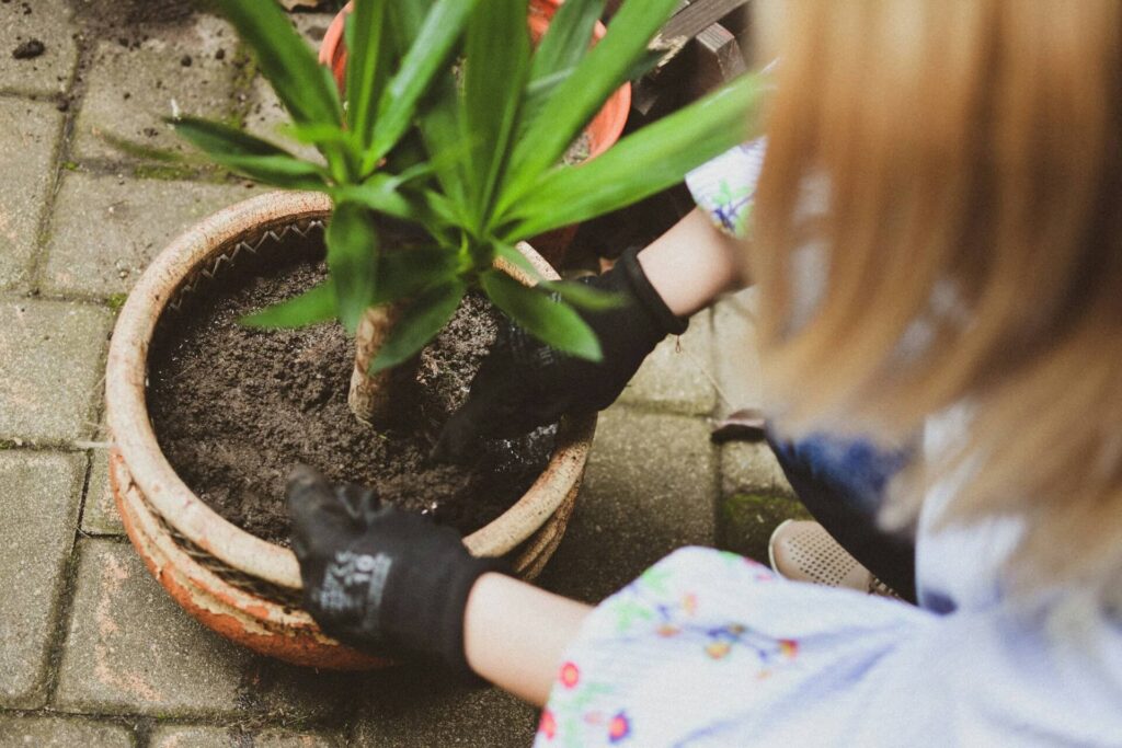 Use organic mulches to support the soil health for potted plants and avoid synthetic fertilizers.