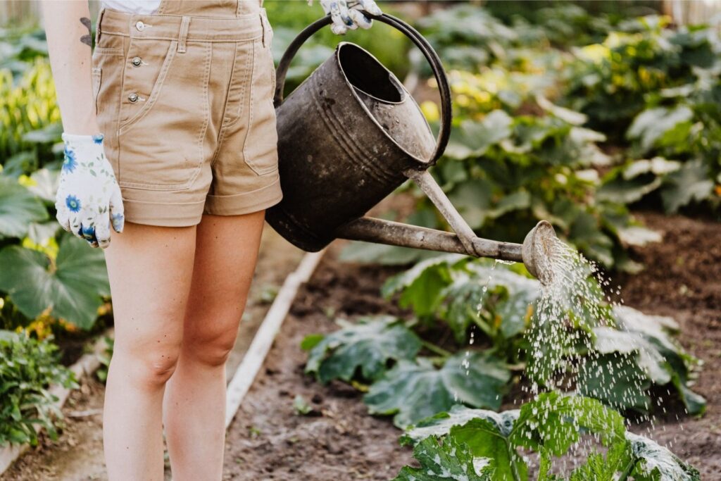 woman watering her garden with a watering can