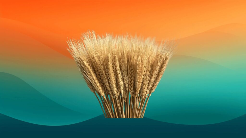 wheat stalks in front of an orange and teal background