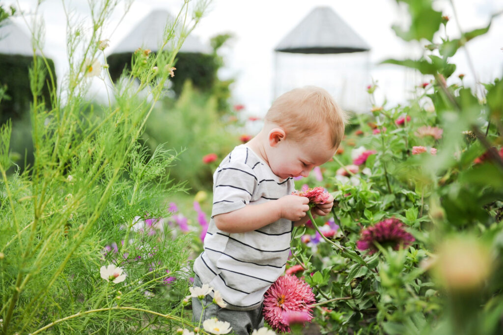 There are many benefits of gardening with children, including emotional development.