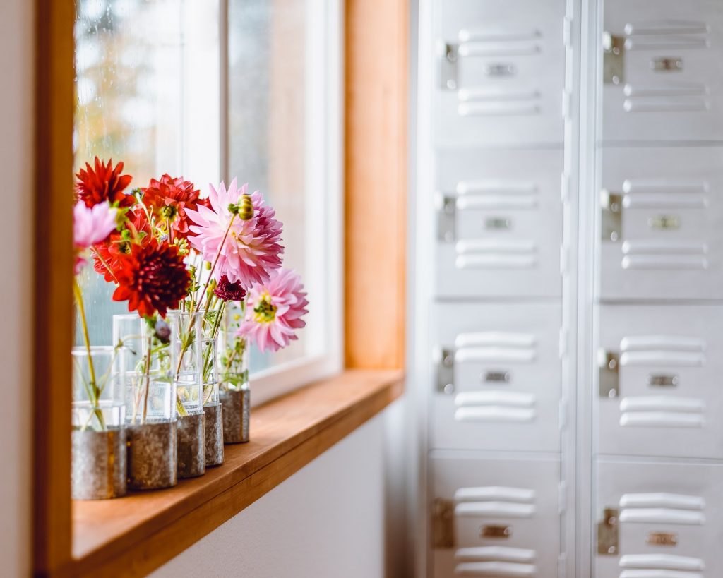 Flowers on a windowsill with lockers in the background