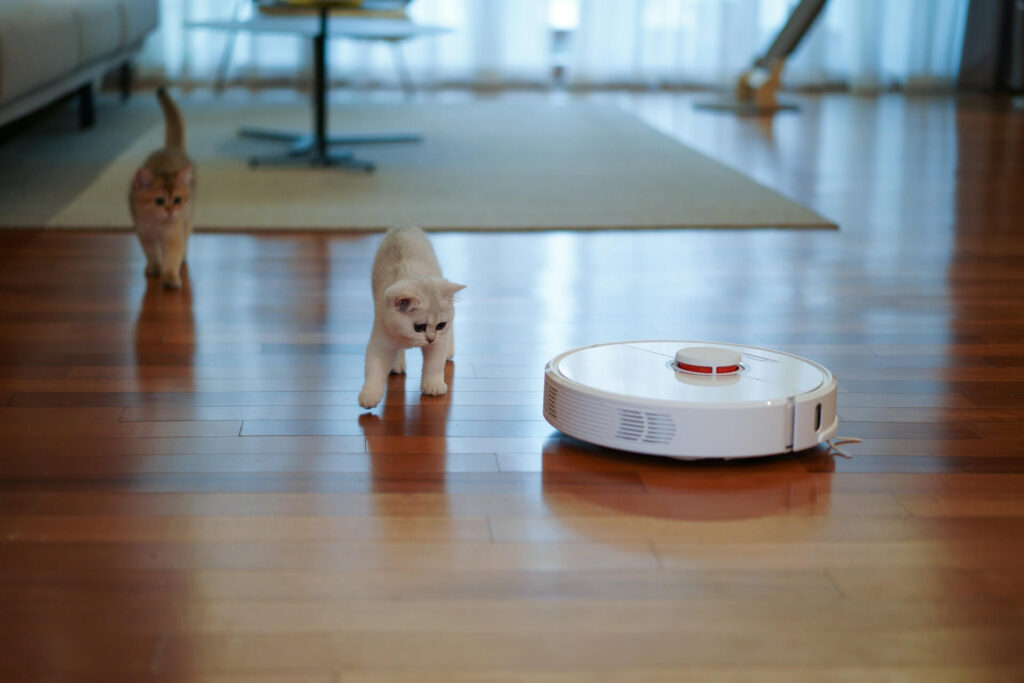Consider a robotic HEPA filter vacuum cleaner to remove lint and shed hair for a cleaner home.