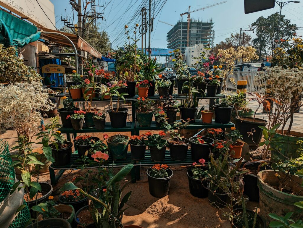 A three-tiered outdoor shelf at a plant nursery holds potted flowers of all kinds. Potted tree saplings surround the shelving. Buildings and power lines fill the background.
